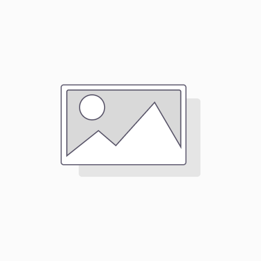 碼頭掣箱Fuse