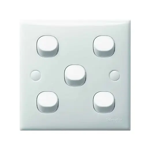 Schneider 施耐德 燈掣 E30, 16AX, 五位